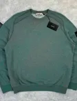 Stone Island Stone Island Dust Colour Sweatshirt