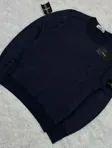 Stone Island Stone Island Sweathirt